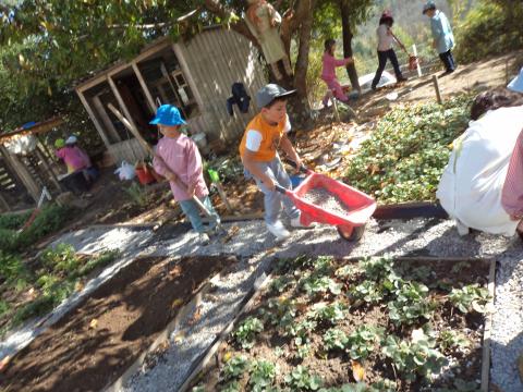 Todas as crianças participam ativamente no trabaho desenvolvido na horta. Aqui estão a preparar os percursos à volta dos talhões, com gravilha disponibilizada pela Junta de Freguesia.